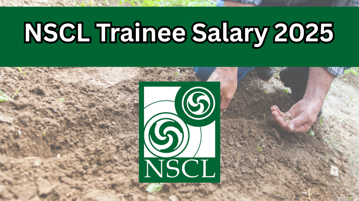 Step Into a Rewarding Government Career with NSCL Trainee Recruitment 2025