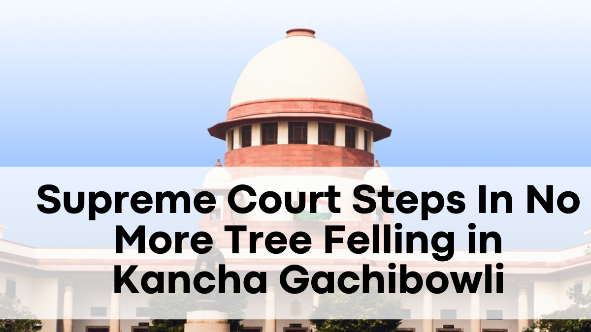 Supreme Court Steps In—No More Tree Felling in Kancha Gachibowli, Update Expected Soon
