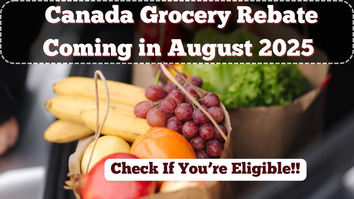 Canada Grocery Rebate Coming in August 2025 – Check If You’re Eligible